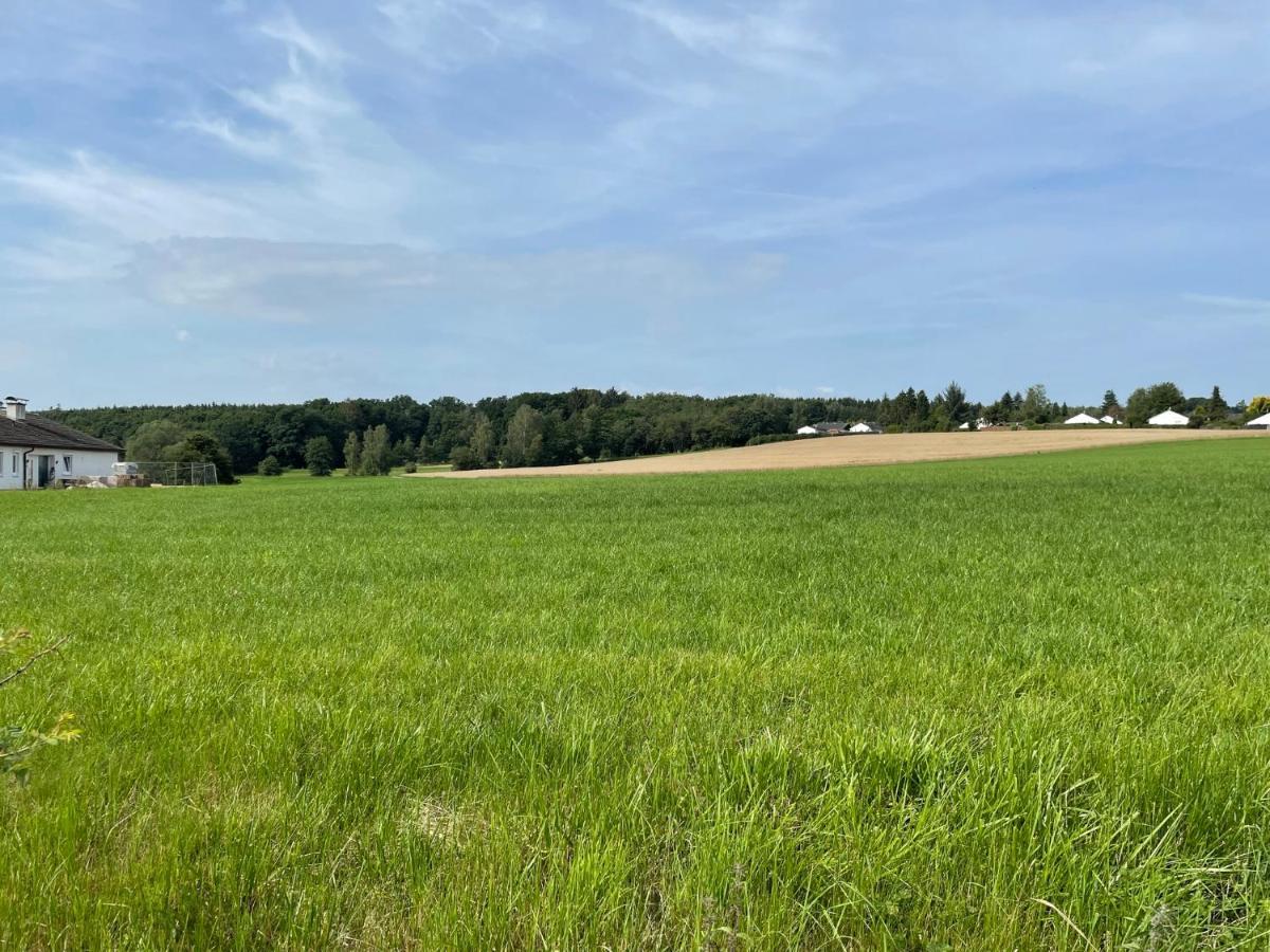 Ferienhaus Hunsrueckliebe Liederbach  エクステリア 写真