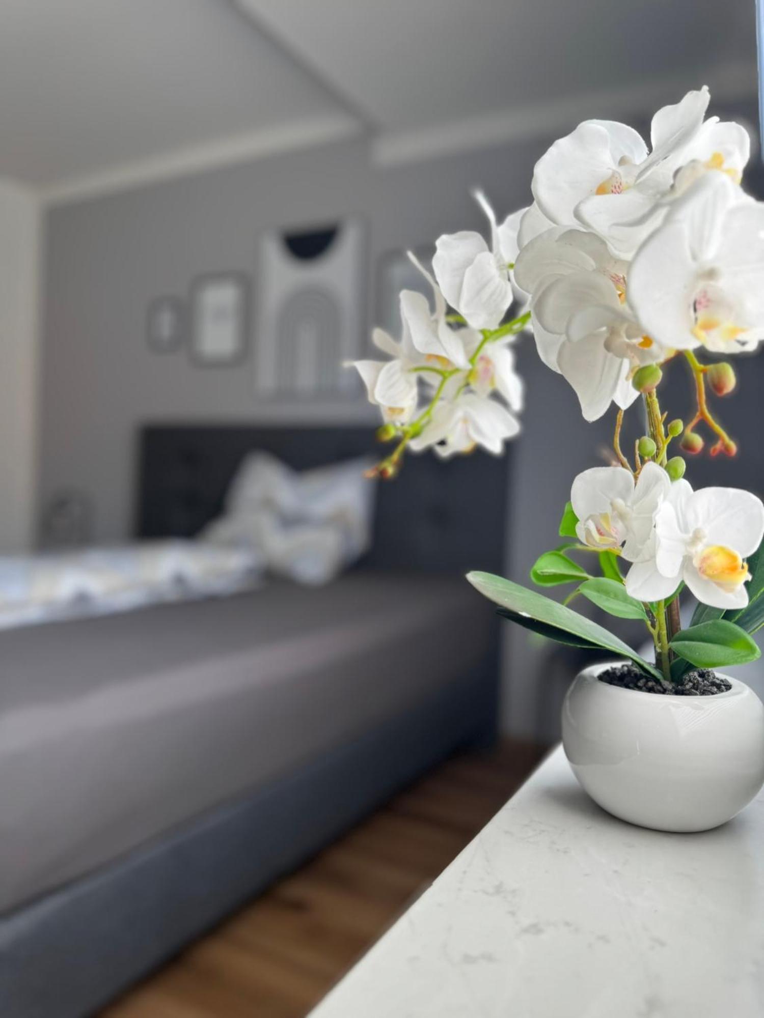 Ferienhaus Hunsrueckliebe Liederbach  エクステリア 写真