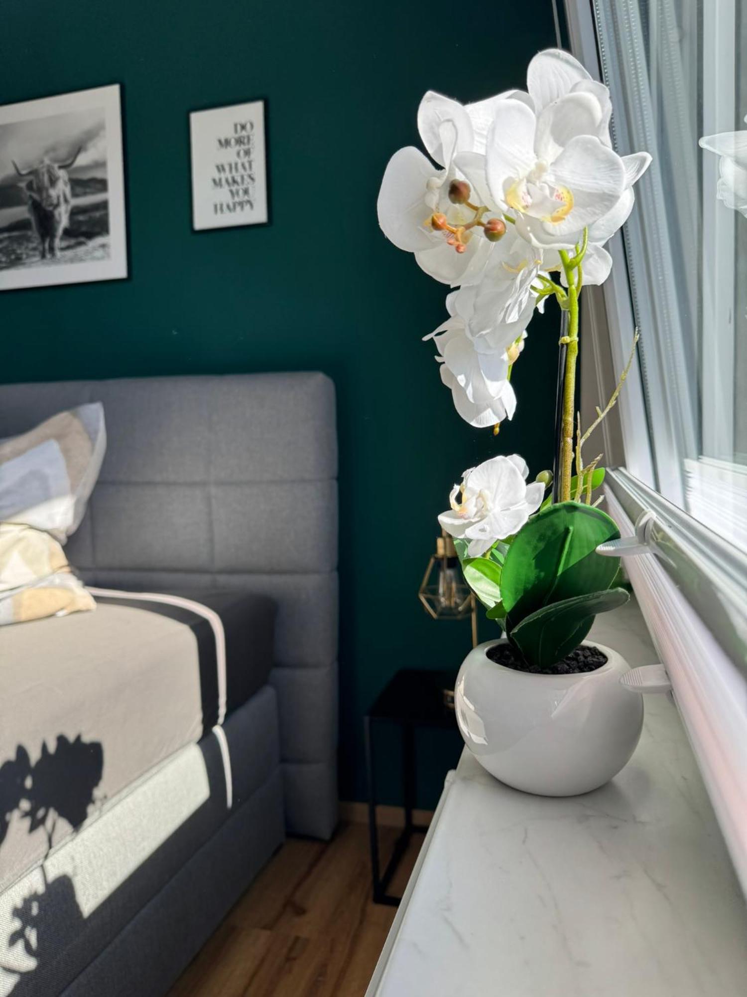 Ferienhaus Hunsrueckliebe Liederbach  エクステリア 写真